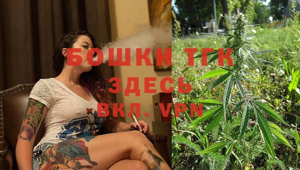 винт Абаза