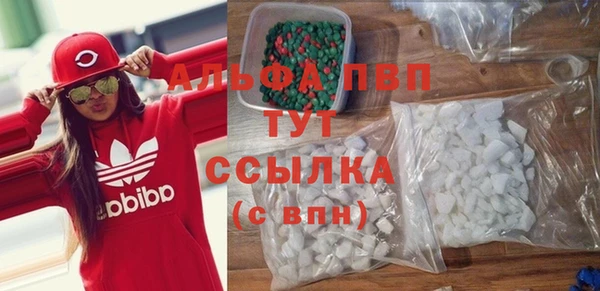 винт Абаза