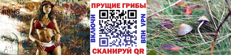 darknet официальный сайт  Костерёво  Псилоцибиновые грибы MAGIC MUSHROOMS  купить закладку 